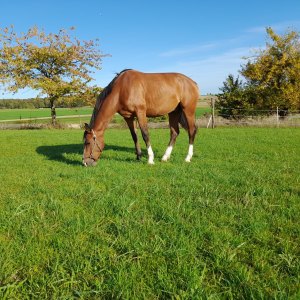 WhatsApp-Image-2026-02-17-at-11.43.28-2