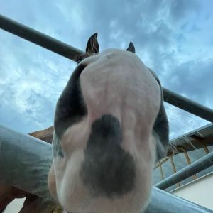 WhatsApp-Image-2026-02-17-at-11.43.28-6