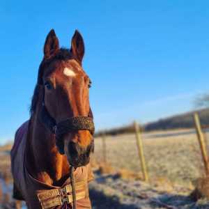 WhatsApp-Image-2026-02-17-at-11.43.29-1