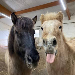 WhatsApp-Image-2026-02-17-at-11.43.29-3